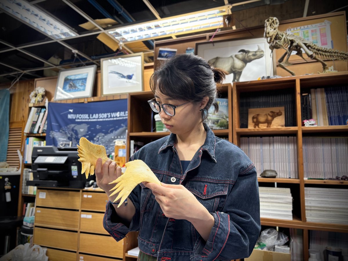 Happy #TurtleTuesday! Very pleased that Yi-Lu, the turtle lady and PhD candidate in my lab, submitted her second manuscript on fossil turtles today! Stay tuned for more fun paleo progress.