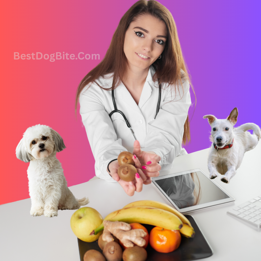 Bestdogbite's tweet photo. Is your dog’s diet truly balanced? 🐕
A dog nutritionist might be the secret to a healthier, happier pup! 🍽️
🔗 https://t.co/5S2S9cbOTX
#DogHealth #DogNutrition #PetCare #BestDogBite https://t.co/XKDnfsH3zy