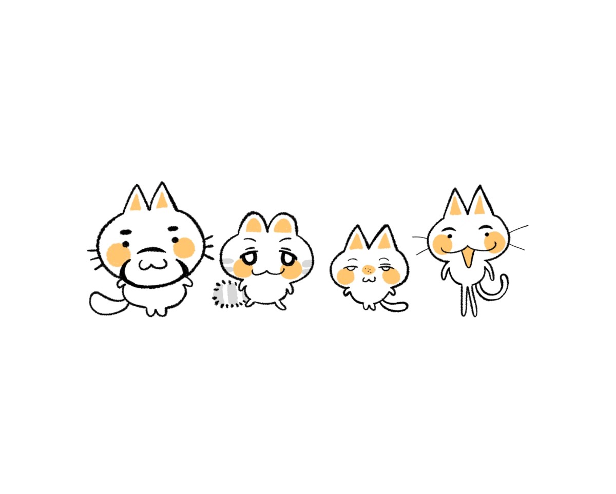 미라클라스 좋아