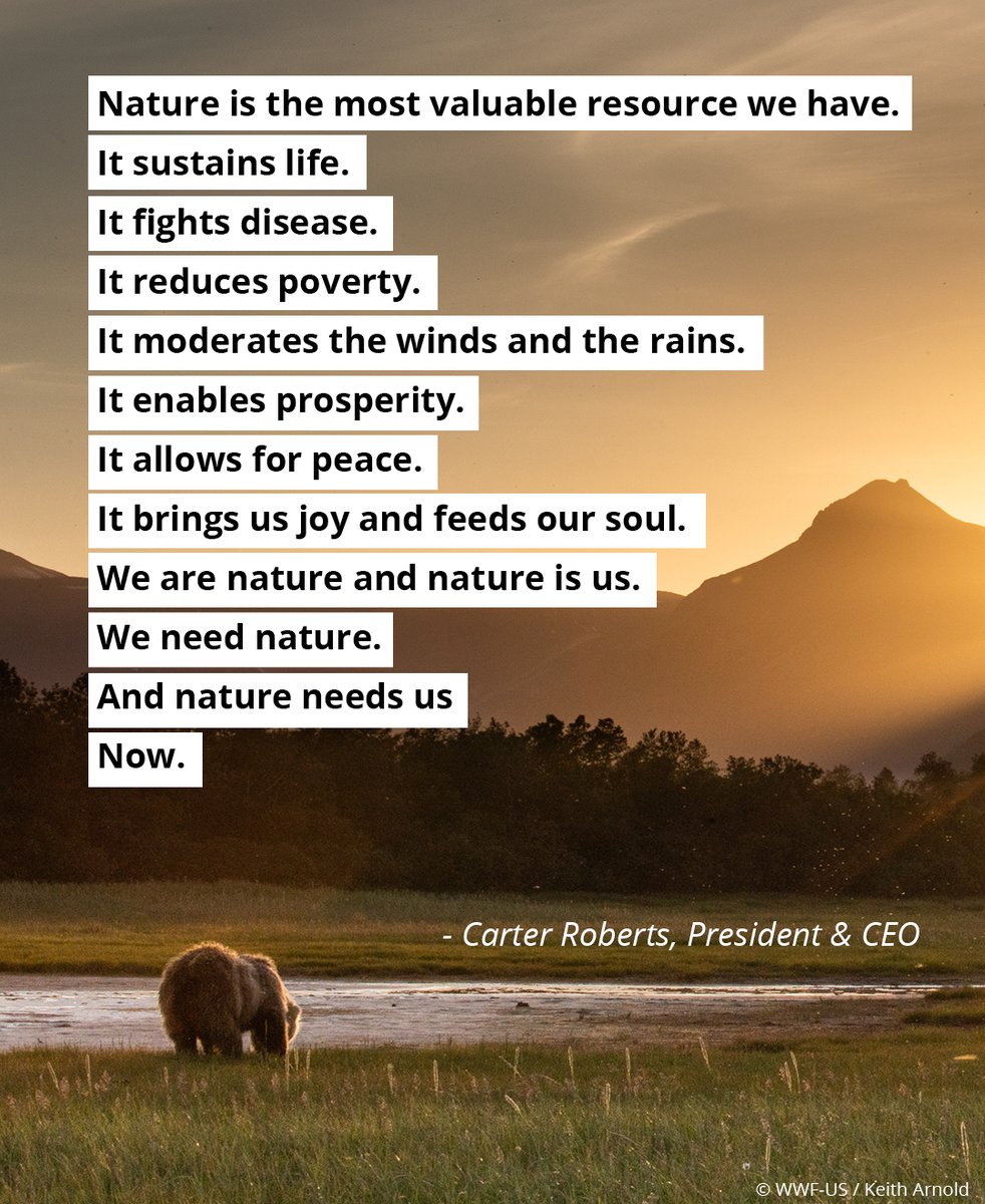 Since 1970, the United States has celebrated #EarthDay to honor the planet on which we all depend—and to mark our collective commitment to save it. 
- Carter Roberts, WWF President and CEO.
