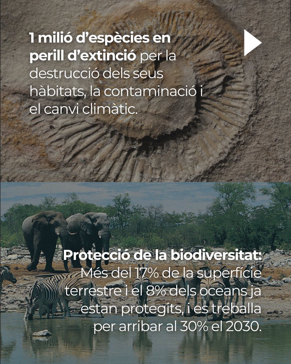GiDomus's tweet image. 🌍 Feliç Dia de la Terra

El Dia de la Terra se celebra cada 22 d’abril amb l’objectiu de conscienciar sobre la importància de protegir el nostre planeta. 
Aquest dia promou la sostenibilitat i fomenta l’ús d’energies netes per combatre el canvi climàtic i reduir la contaminació.