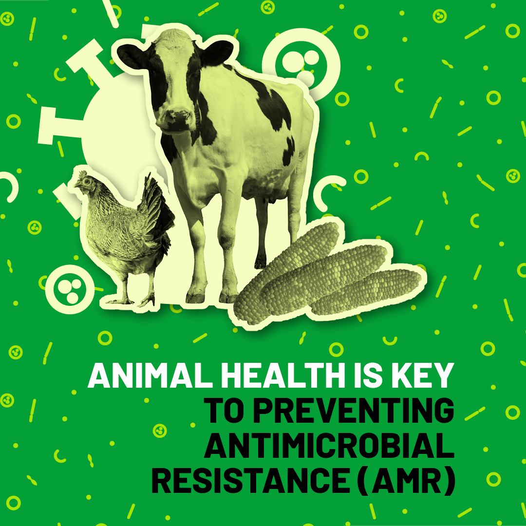 WHO Malaysia, Brunei Darussalam & Singapore tweet media