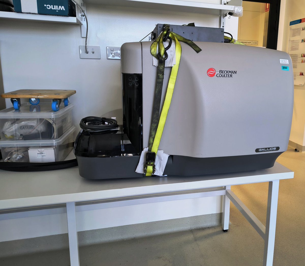 CCB Flow tweet media