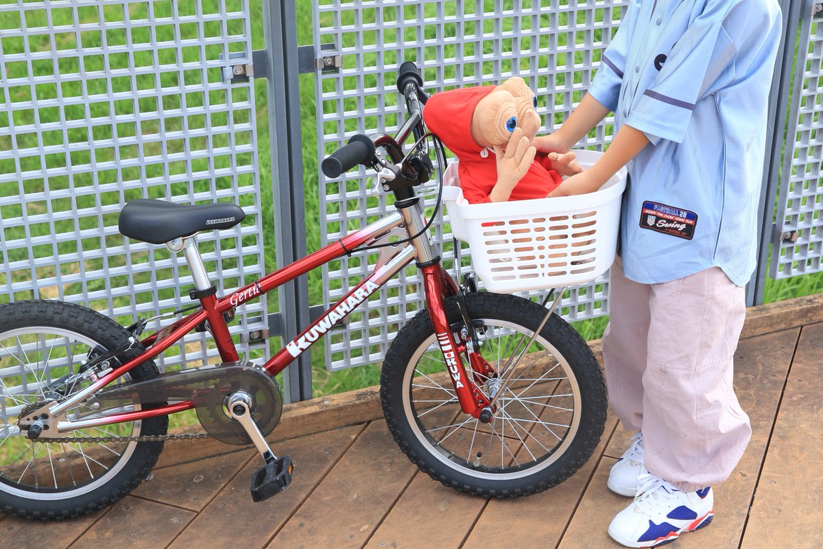この時代でしか作れない薄さ オレ流族車スタイルはこれだ