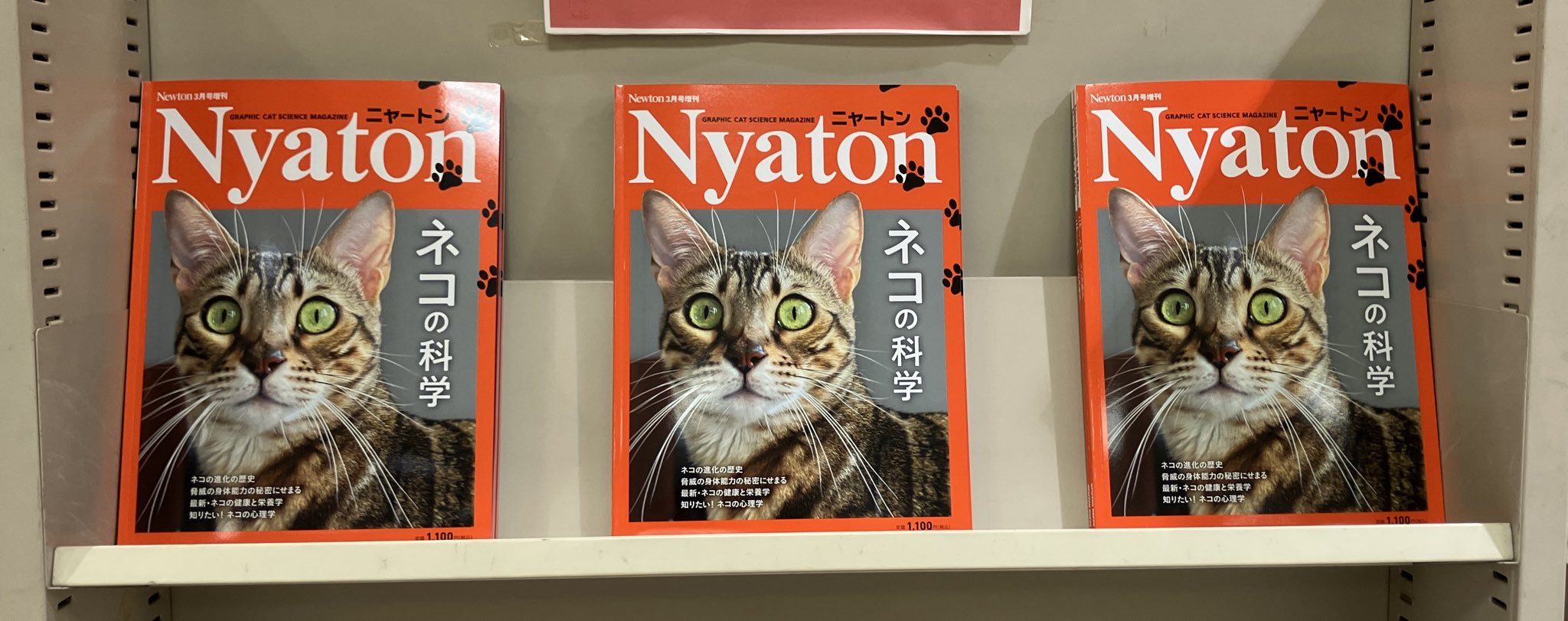 科学雑誌Newton（ニュートン）公式 (@Newton_Science) / X