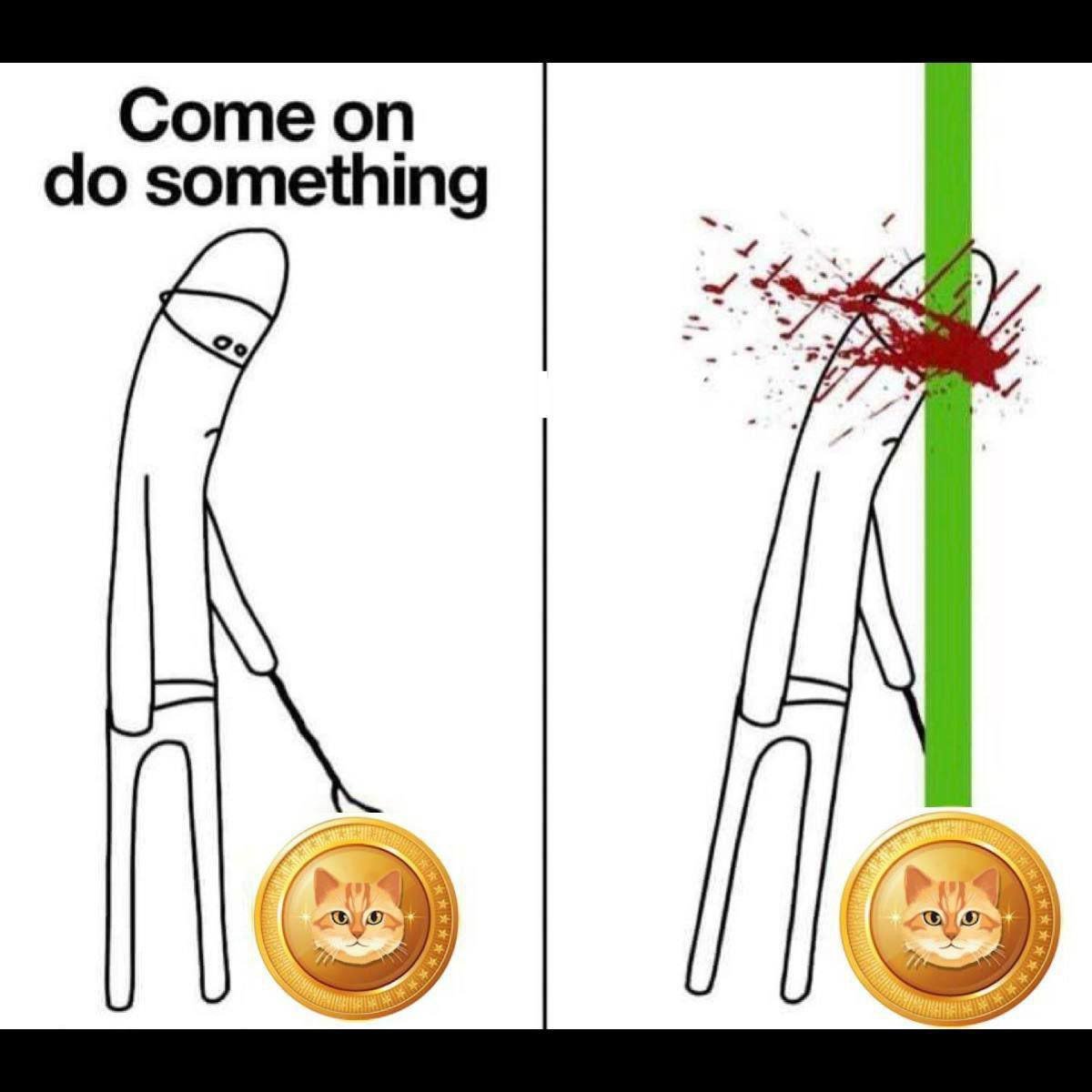 Cat Token on Solana tweet media