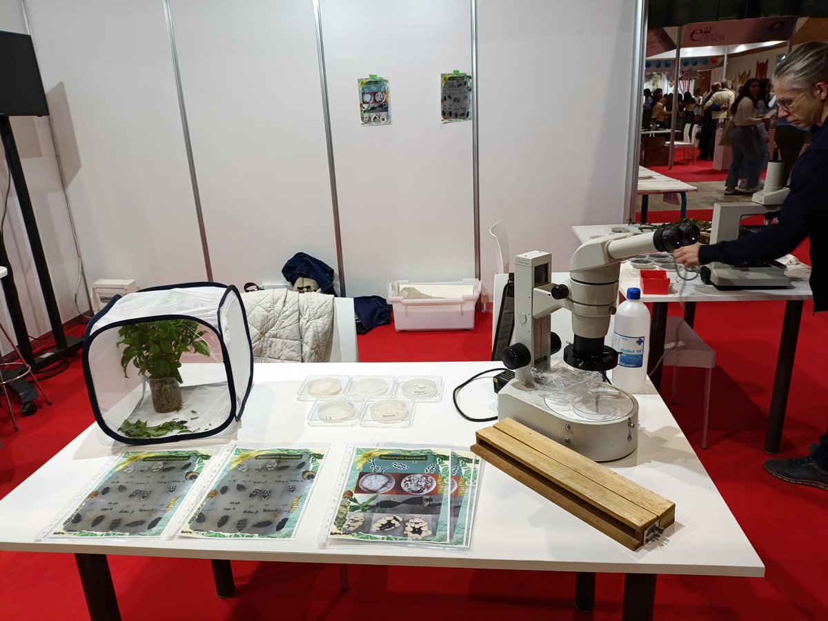 Jose-Maria Barcia-Piedras | @jmbapi.bsky.social tweet media