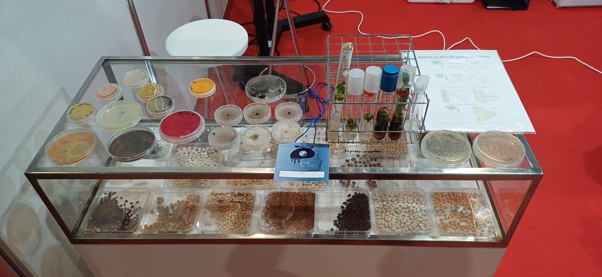 Jose-Maria Barcia-Piedras | @jmbapi.bsky.social tweet media