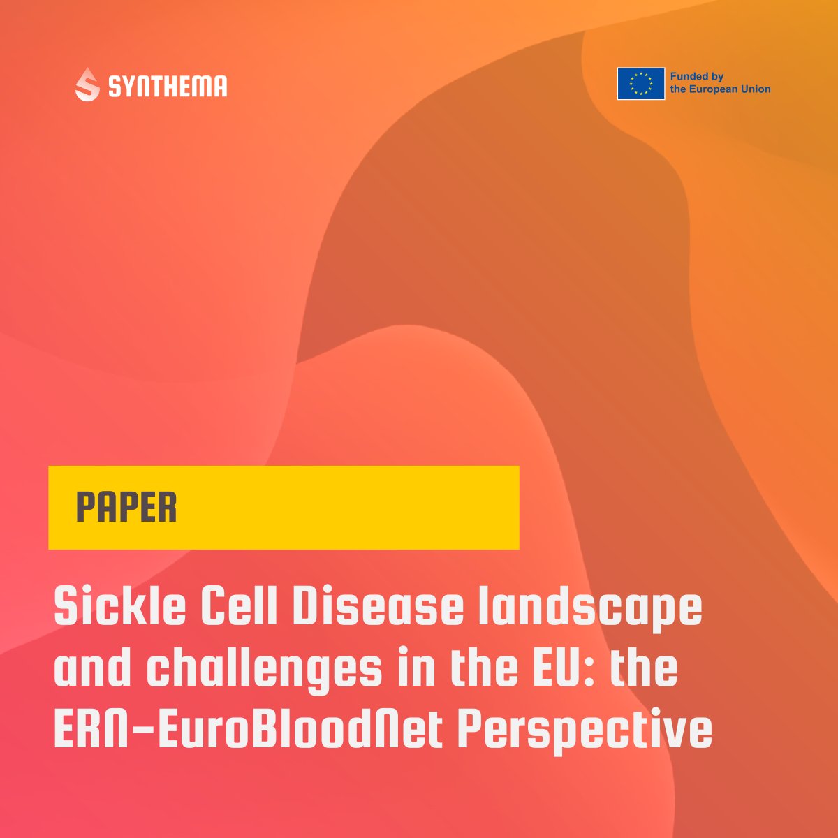 SYNTHEMA (@synthema_eu) on Twitter photo How is the EU addressing the challenges of Sickle Cell Disease? This paper co-authored by #SYNTHEMA partners explores the role of <a href="/ERNEuroBloodNet/">ERN EuroBloodNet</a> in advancing care, collaboration & research for rare haematological diseases.
đź“„ Read more: bit.ly/44CHlSP
#RareDiseases How is the EU addressing the challenges of Sickle Cell Disease? This paper co-authored by #SYNTHEMA partners explores the role of <a href="/ERNEuroBloodNet/">ERN EuroBloodNet</a> in advancing care, collaboration & research for rare haematological diseases.
đź“„ Read more: bit.ly/44CHlSP
#RareDiseases