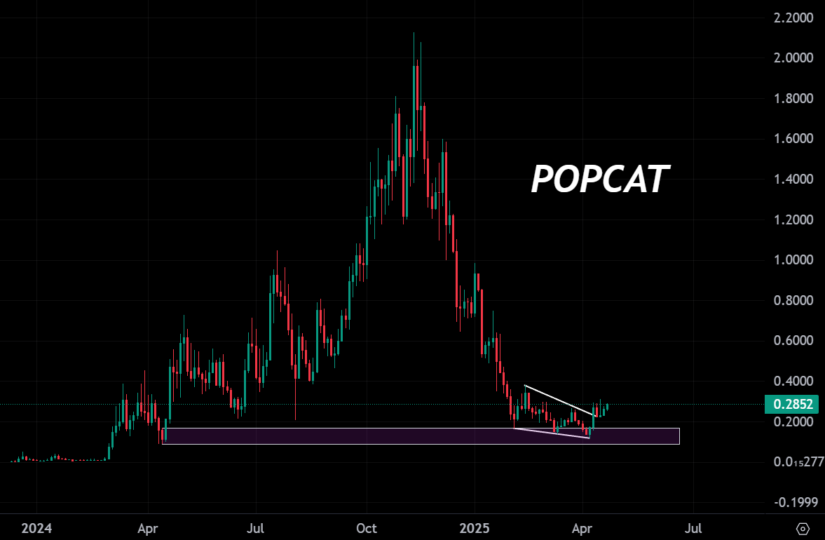 degengambleh's tweet image. Time for $POPCAT to follow #Fartcoin?

Does the cat still pop?