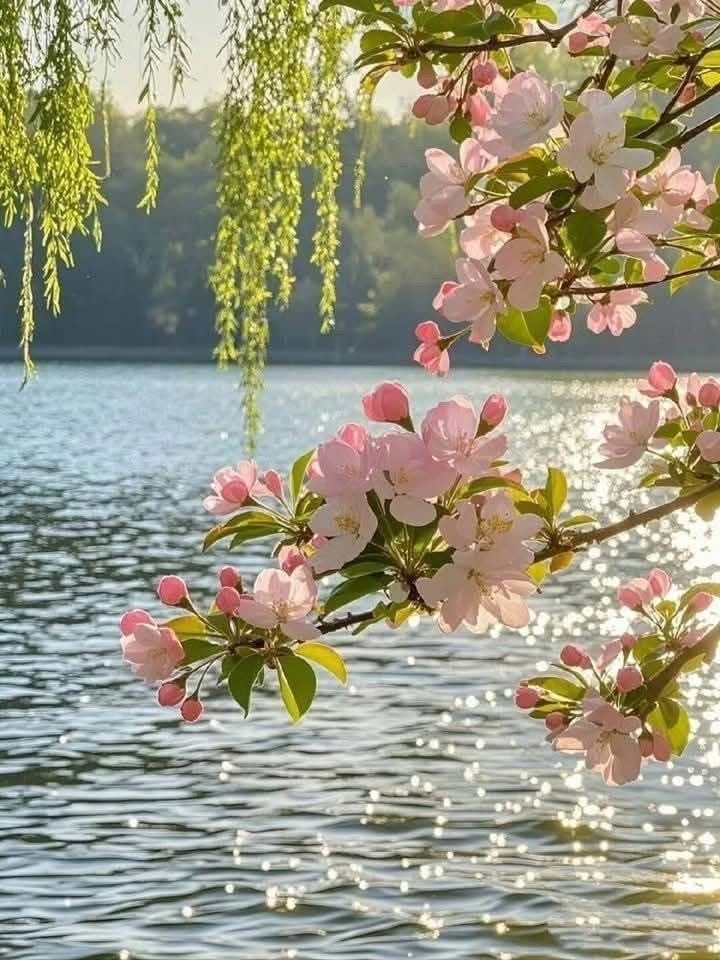 Nature vibes (@magical_views8) on Twitter photo 