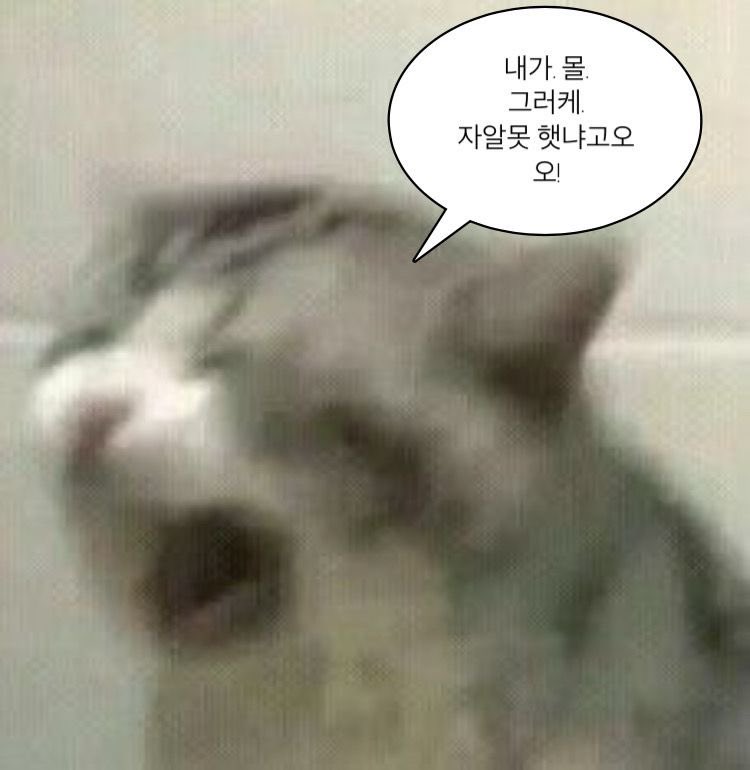 w2rd0's tweet image. 비오는데 비 다 맞았어ㅓㅓㅓㅓㅓㅓㅓㅓ