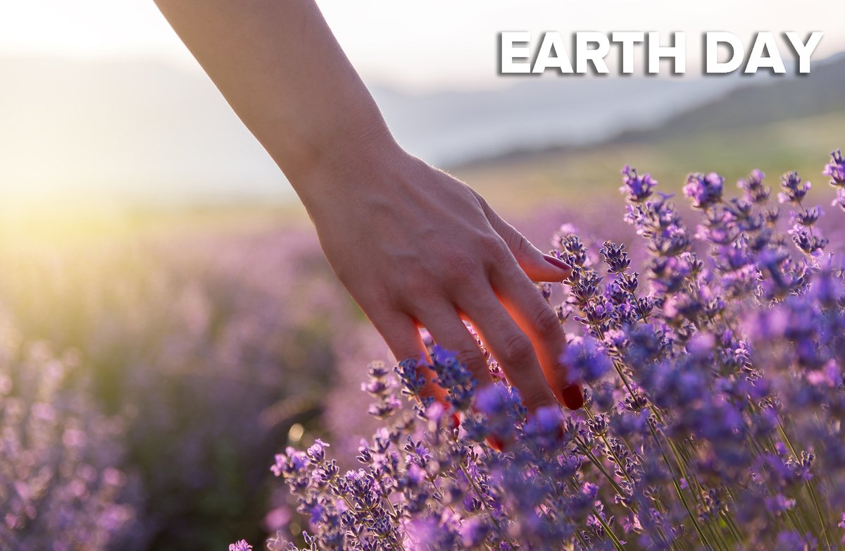 Oggi anche noi celebriamo la Giornata mondiale della Terra. 🌍

Orientare tutta la politica produttiva verso un obiettivo etico è sempre stato di cruciale importanza per noi, per alleggerire al massimo il nostro peso sul pianeta Terra.

Scopri sul sito le nostre azioni concrete.