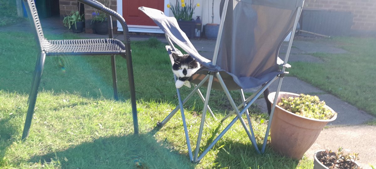 Baba, Nalu & Sanji tweet media