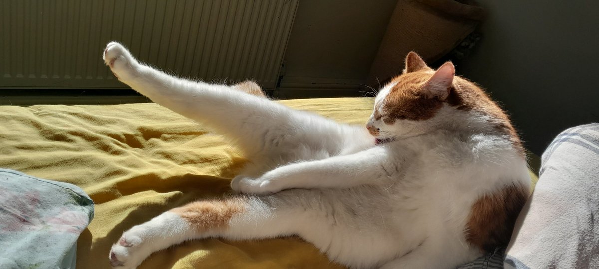 Baba, Nalu & Sanji tweet media