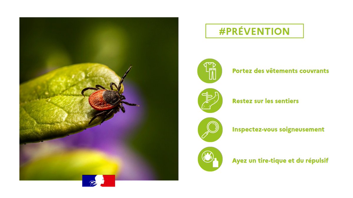 Préfet de l'Allier (@prefet03) on Twitter photo #Prévention | 🕷️ Avec les beaux jours, les tiques sont de retour !
🌳 En promenade, en randonnée ou lors d’un pique-nique, restons vigilants : ces petits acariens peuvent transmettre la maladie de Lyme.
➡️ L’Office national des forêts (<a href="/ONF_Officiel/">Office national des forêts</a>) vous rappelle les bons #Prévention | 🕷️ Avec les beaux jours, les tiques sont de retour !
🌳 En promenade, en randonnée ou lors d’un pique-nique, restons vigilants : ces petits acariens peuvent transmettre la maladie de Lyme.
➡️ L’Office national des forêts (<a href="/ONF_Officiel/">Office national des forêts</a>) vous rappelle les bons