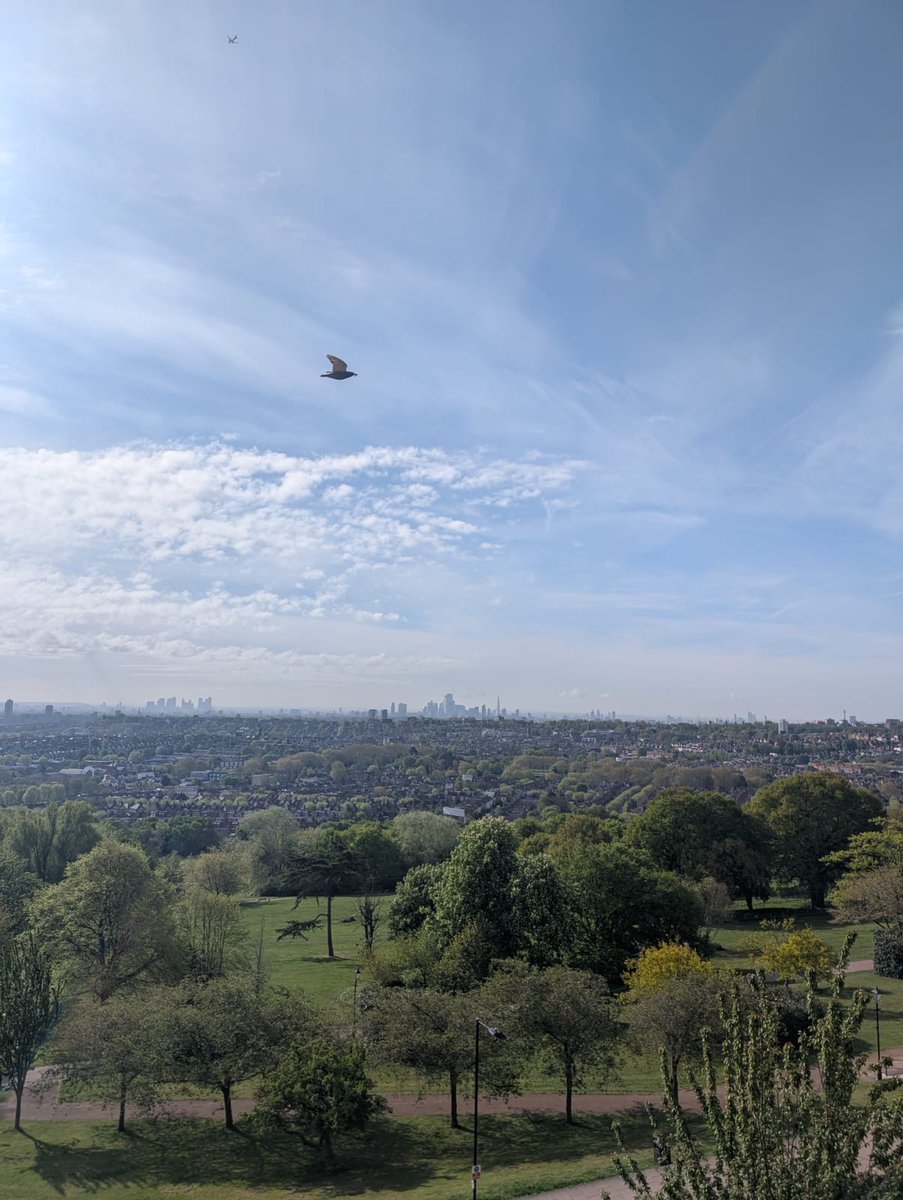 London weather update: not too bad 👌