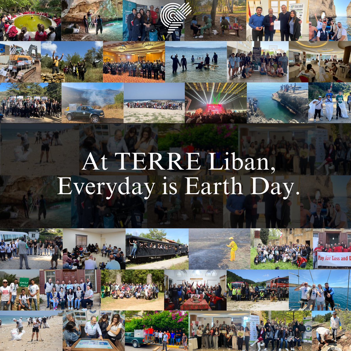 TERRE Liban tweet media