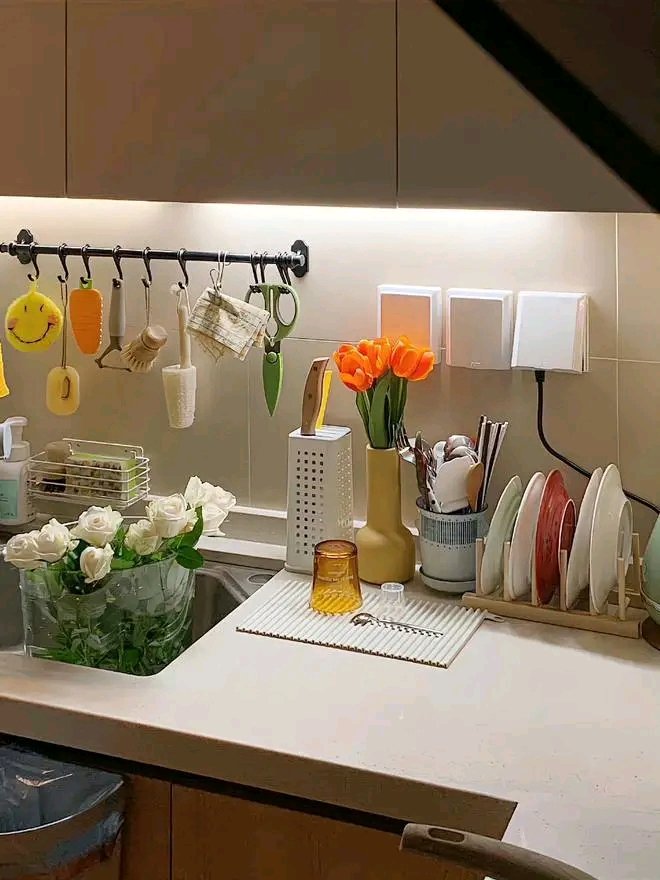 drstevee1's tweet image. 