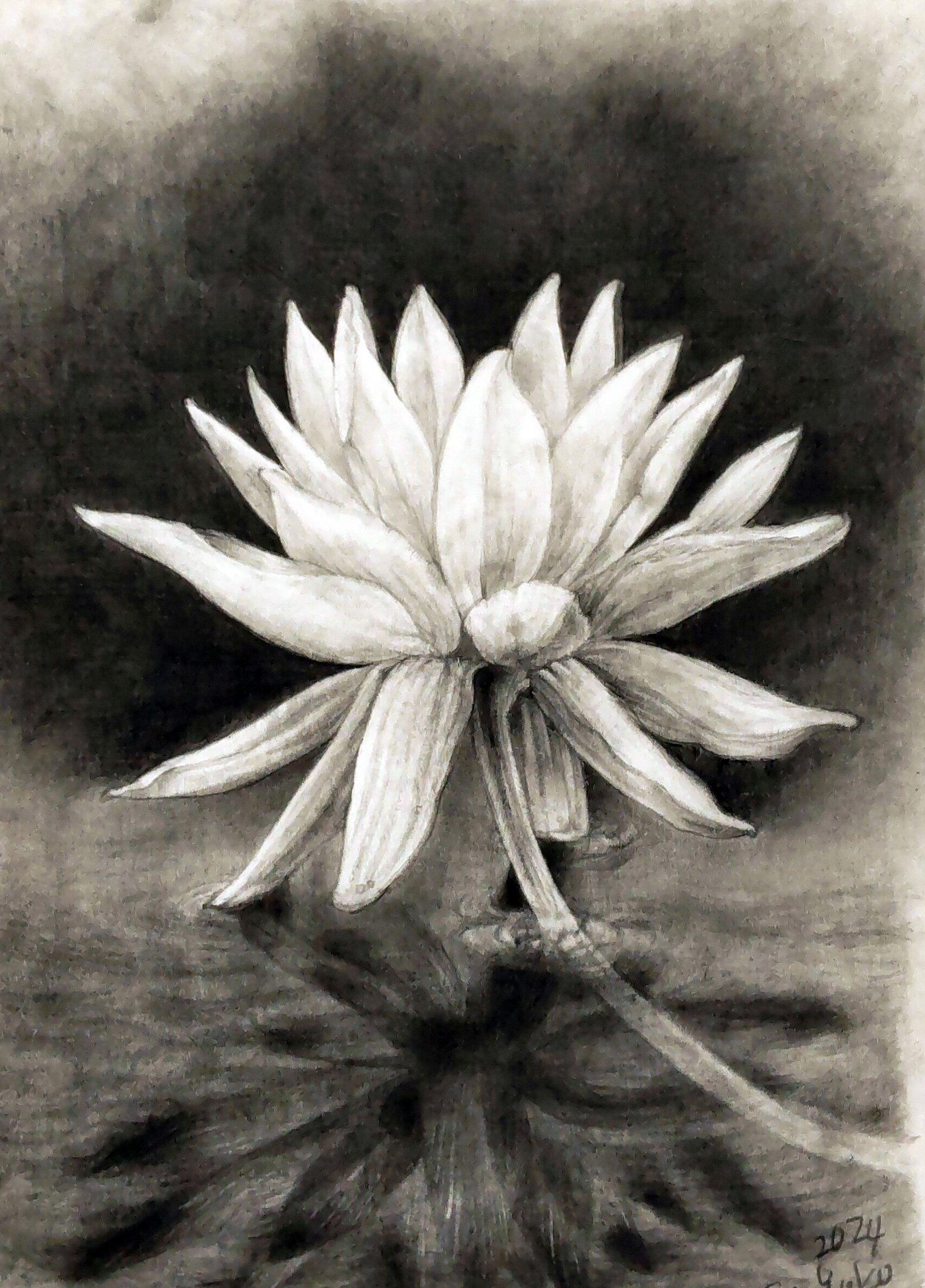 大森 浩平 / Kohei Ohmori | 鉛筆画を描く人生は一旦終わりにし