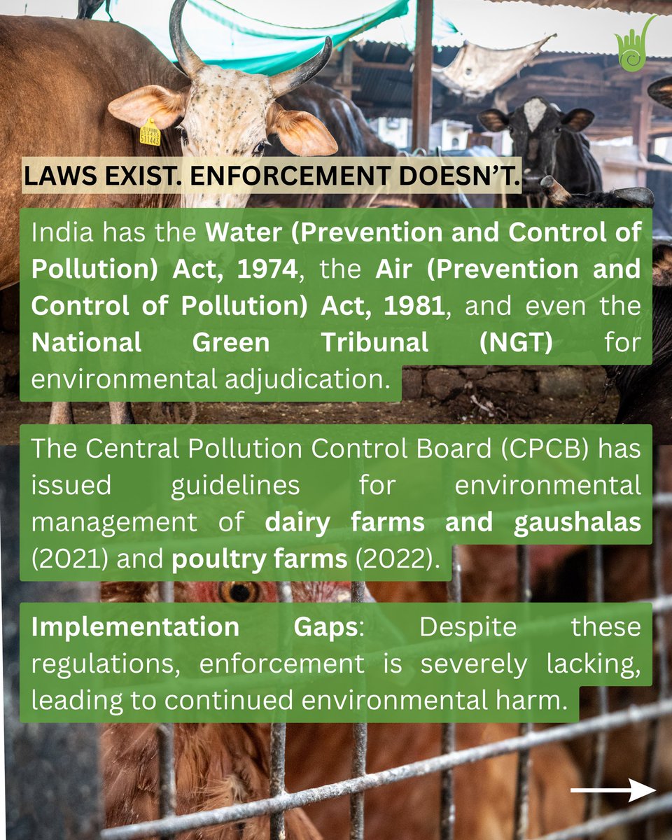 Ahimsa Fellows tweet media