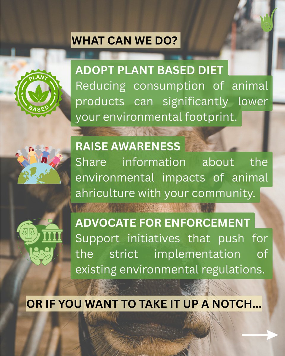 Want to make a difference? Start with your choices.

Adopt a plant based diet🌱
Raise awareness.
And push for stronger regulations💪
Be the voice the planet needs.