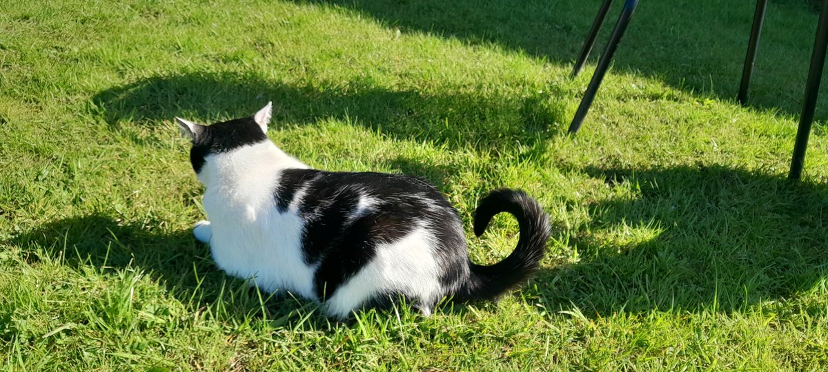 Baba, Nalu & Sanji tweet media