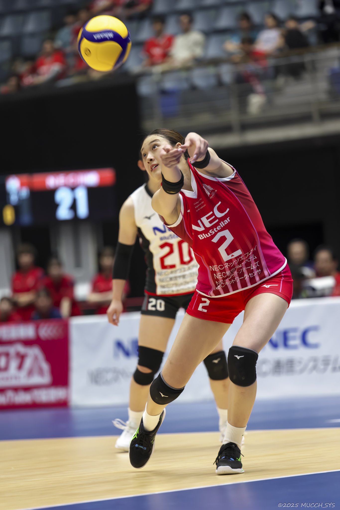 むっちしす on X: 