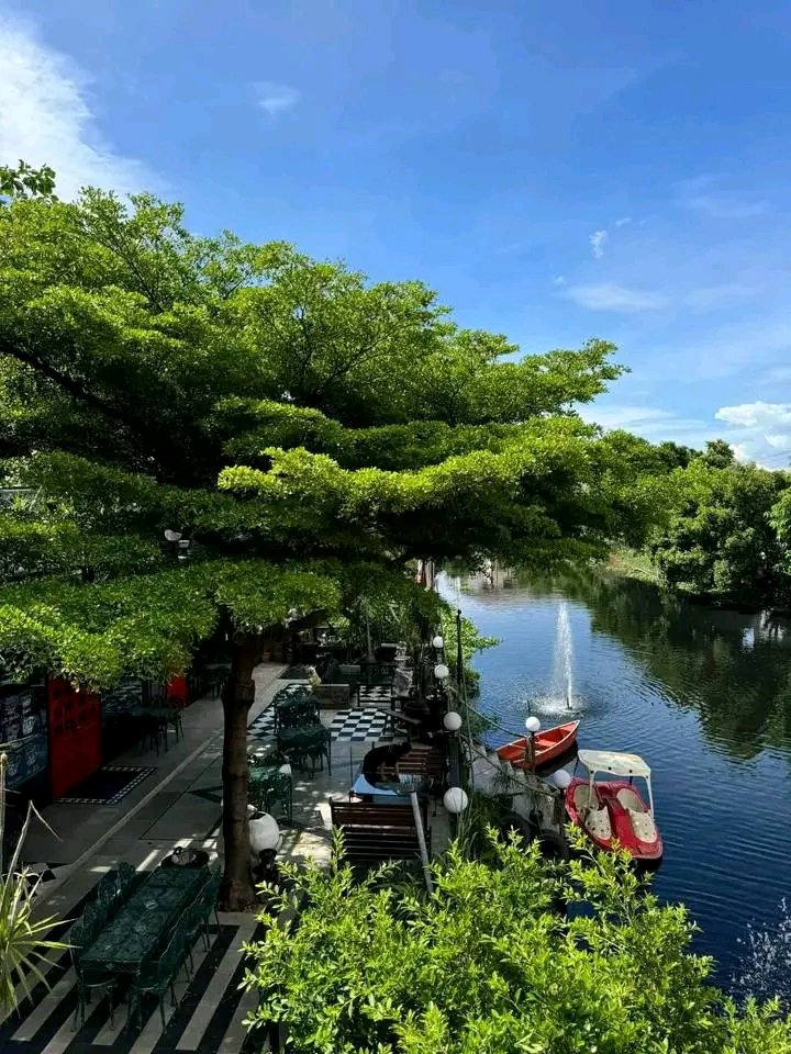 drstevee1's tweet image. 