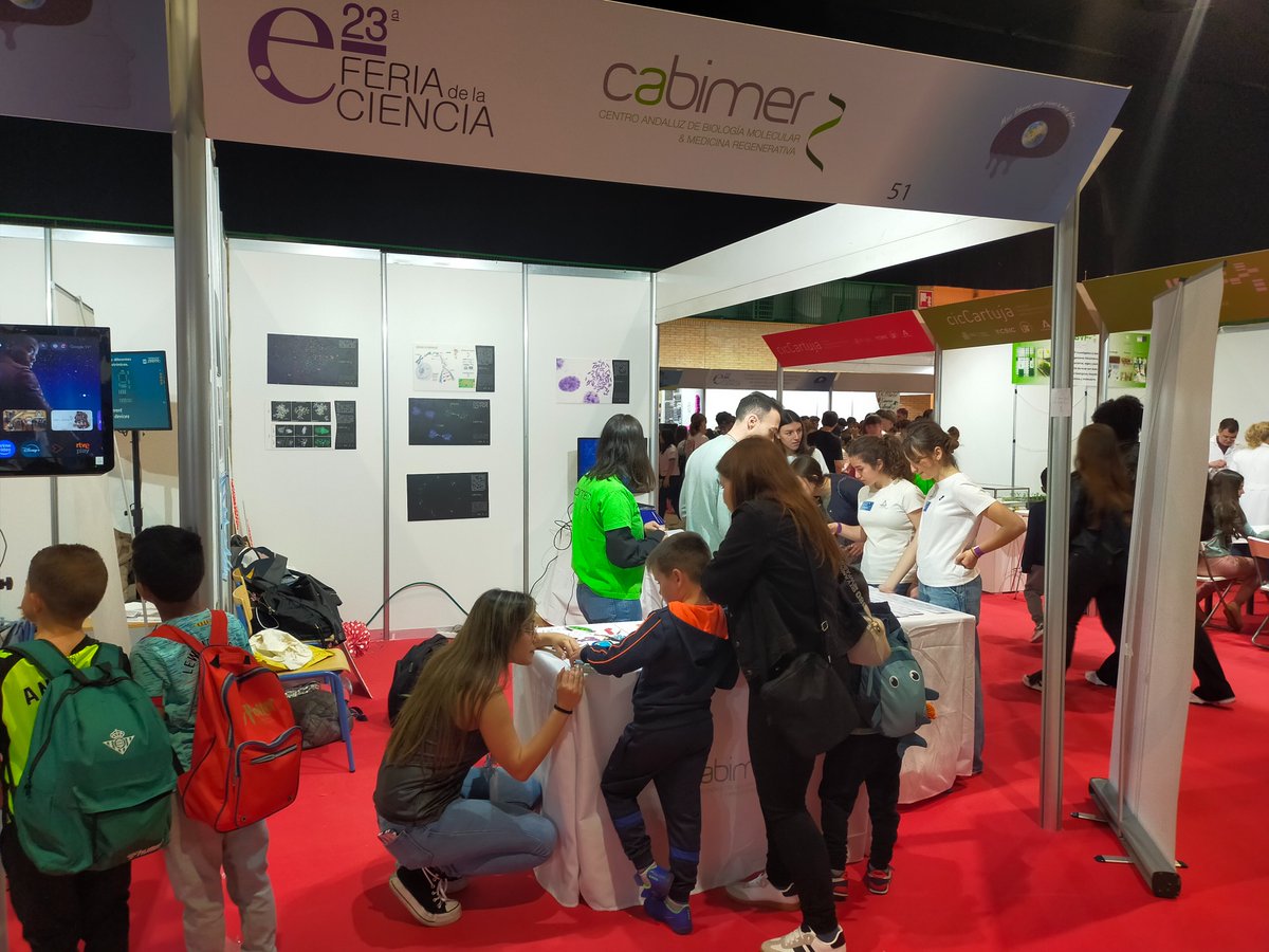 Cabimer tweet media