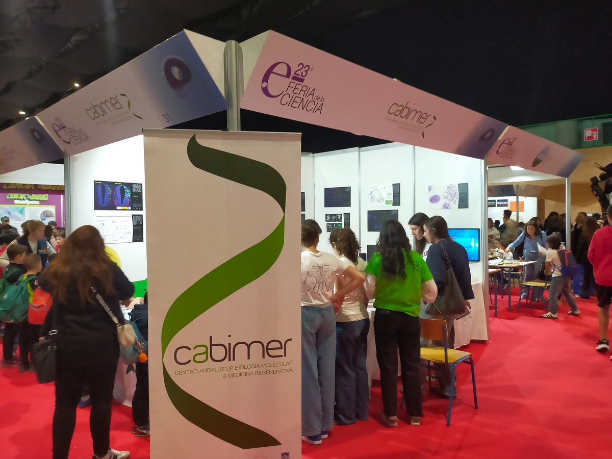 Cabimer (@cabimer) on Twitter photo Desde hoy y hasta el próximo jueves 24 os esperamos en <a href="/fibesevilla/">Fibes Sevilla</a> en el stand 51. #23FeriaCiencia Desde hoy y hasta el próximo jueves 24 os esperamos en <a href="/fibesevilla/">Fibes Sevilla</a> en el stand 51. #23FeriaCiencia