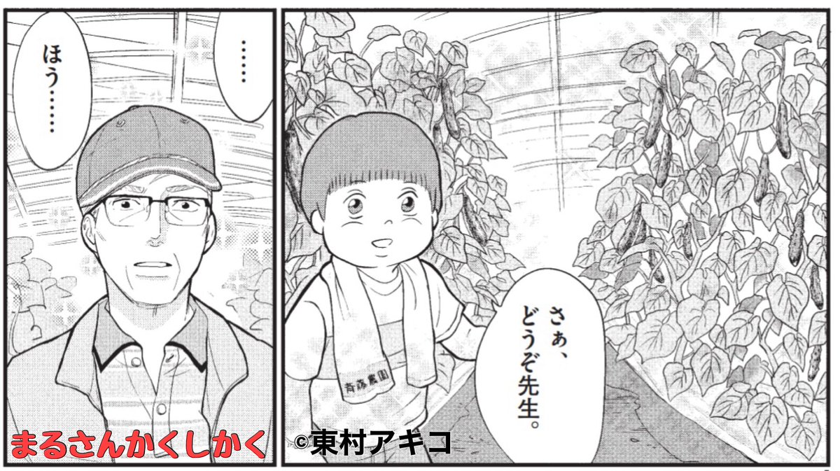 🌴#まるさんかくしかく 43話🌴】 最新話掲載の #オリジナル 9号が発売