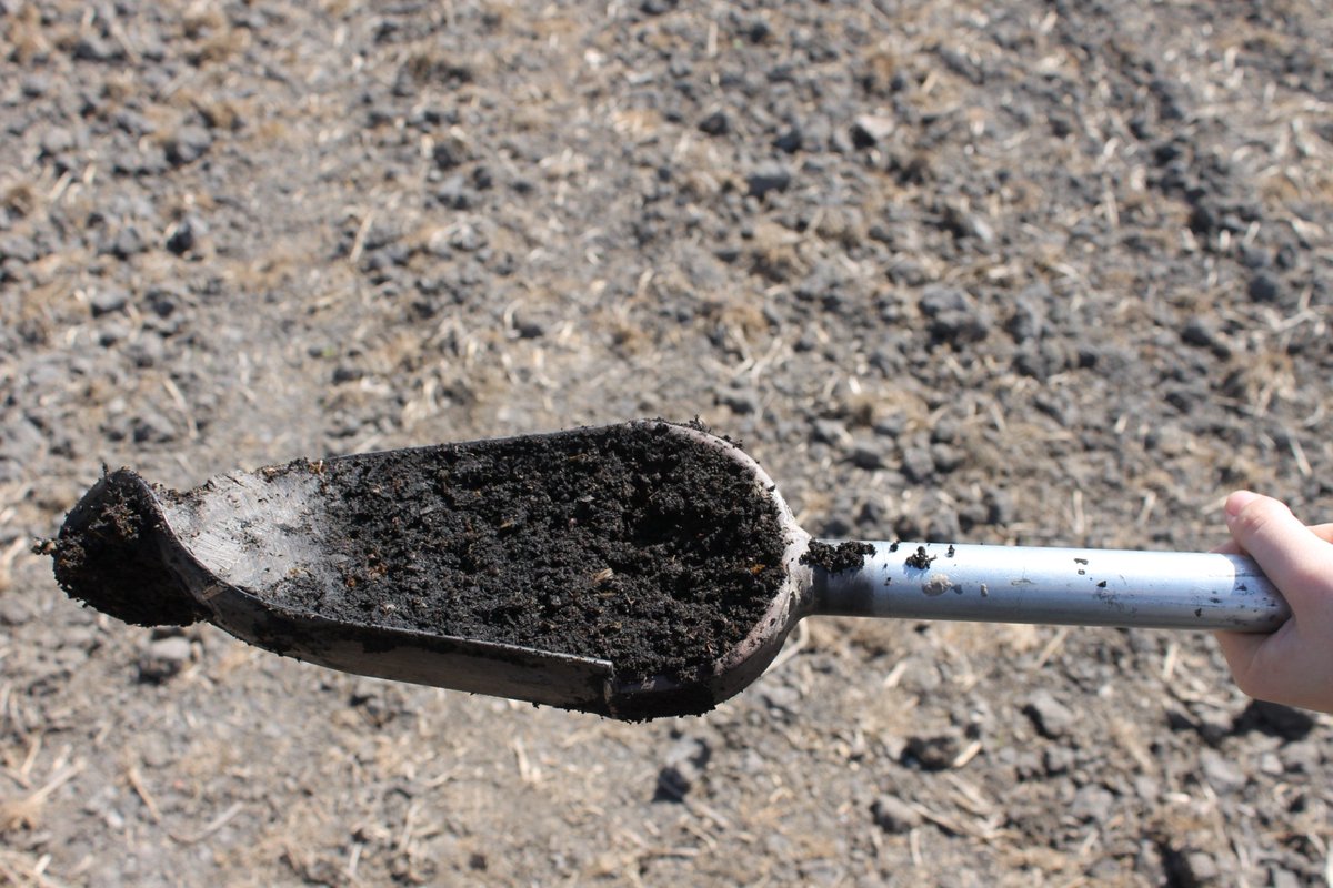 🏞️ Fa dues setmanes vam dur a terme la primera campanya del projecte PALEODELTA. Moltes gràcies a tots! A l'octubre hi tornem 😉