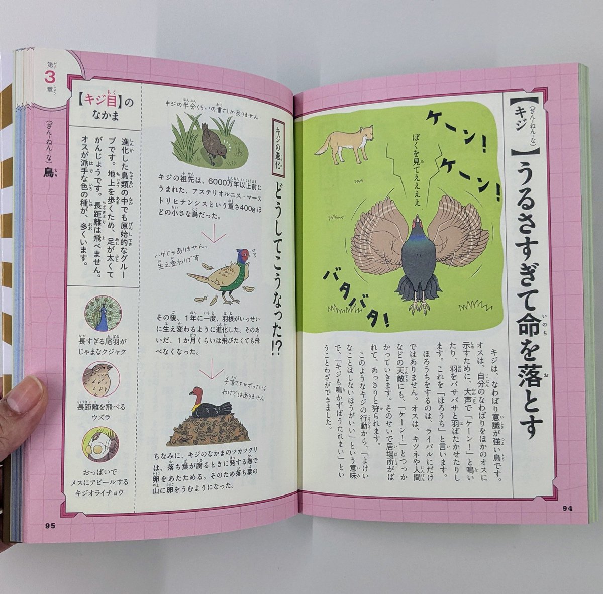 新ざんねんないきもの事典、編集しました！　第10弾でリニューアル！　新コーナーで、進化となかまを深く知ることができます。
takahashishoten.co.jp/book/10476.html