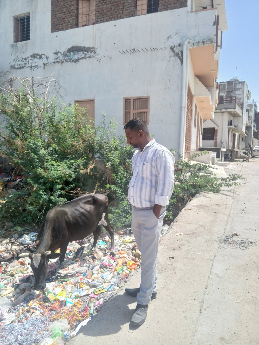 Deepak_Gandhi1's tweet photo. #Pali
पाली शहर के गली मोहलों के घरों में चल रही है अवैध कपड़ा धुलाई की फैक्ट्रीया, साथ ही पूरा केमिकल युक्त पानी बांडी नदी में छोड़ा जा रहा आखिर कब होंगी कारवाही ?
@RSPCB_official 
@CPCB_OFFICIAL 
@8PMnoCM
@DcDmPali
@PaliPolice @CMHelpdesk @officialkharra 
@RajCMO https://t.co/hSTPGkcfZG