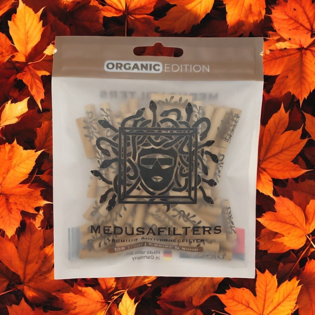 HANFTOPIA tweet media