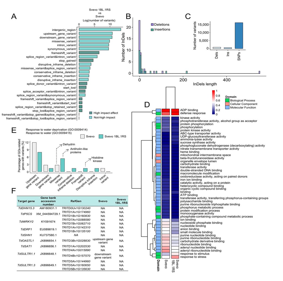 Physiologia Plantarum (@pplplantarum) on Twitter photo What are the effects of translocating the short chromosome arm 1RS of rye onto durum wheat on drought tolerance? <a href="/TrigoHubCSIC/">TrigoHubCSIC</a> <a href="/FBarrosLab/">F. Barro's Lab 🍞</a> <a href="/ExplowheatPRIMA/">Explowheat PRIMA Project</a>
Read more bit.ly/4iMvSEp What are the effects of translocating the short chromosome arm 1RS of rye onto durum wheat on drought tolerance? <a href="/TrigoHubCSIC/">TrigoHubCSIC</a> <a href="/FBarrosLab/">F. Barro's Lab 🍞</a> <a href="/ExplowheatPRIMA/">Explowheat PRIMA Project</a>
Read more bit.ly/4iMvSEp