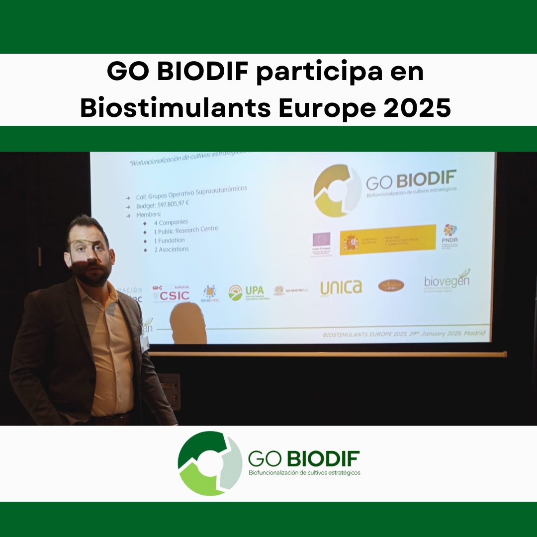 gobiodif's tweet image. 🔬🌿#BIODIF en Biostimulants Europe 2025
🗣️ El 29 de enero, BIOVEGEN presentó en Biostimulants Europe 2025 el proyecto BIODIF, una iniciativa innovadora que plantea la biofuncionalización de cultivos estratégicos como el tomate, maíz y olivo mediante el uso de nanotecnología🧪💡