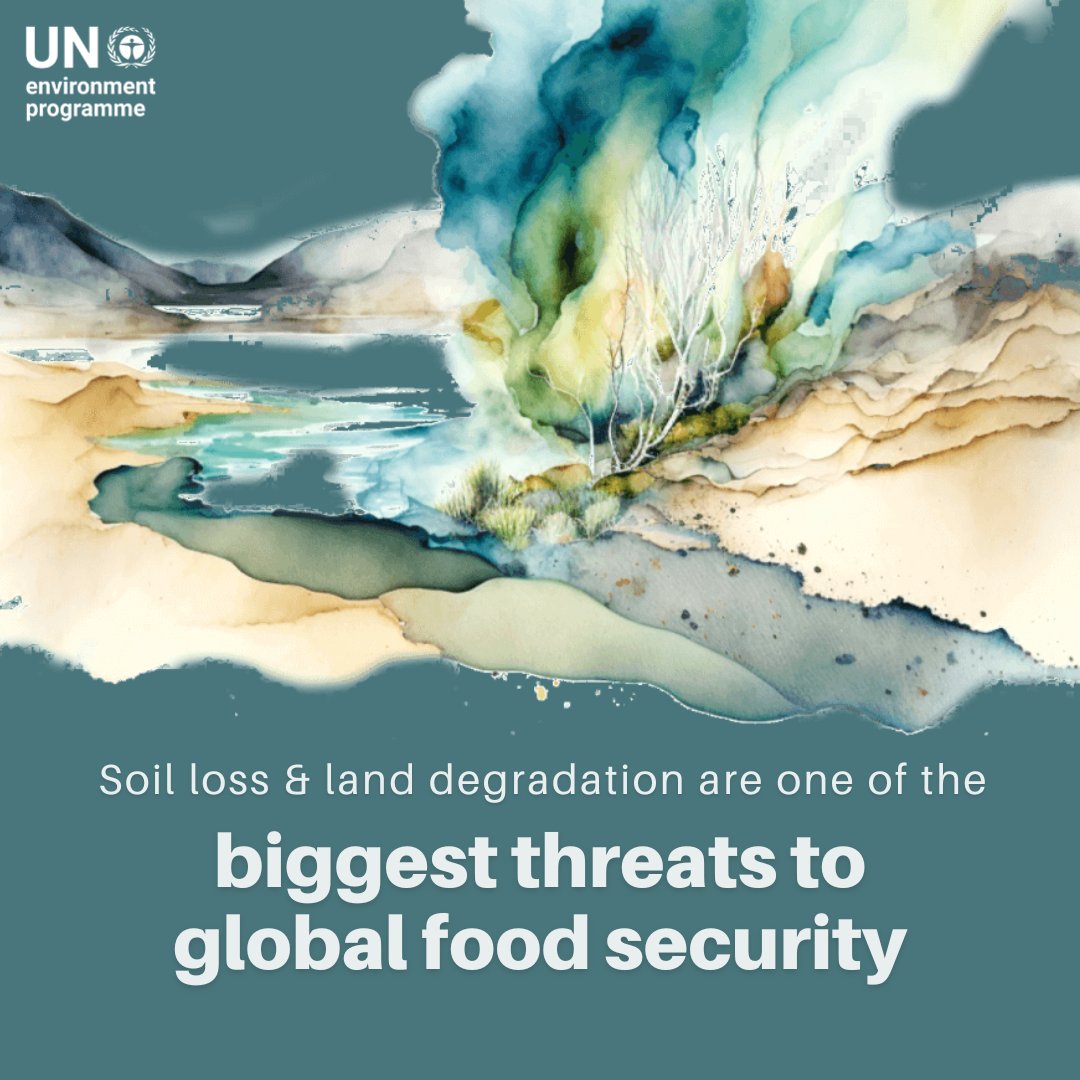 UNEP's tweet image. Overfertilization causes soil to become acidic, negatively affecting crop production. Reducing the use of agrochemicals is essential to protecting food systems.

Check out UNEP’s efforts to #BeatNitrogenPollution:  unep.org/interactives/b…