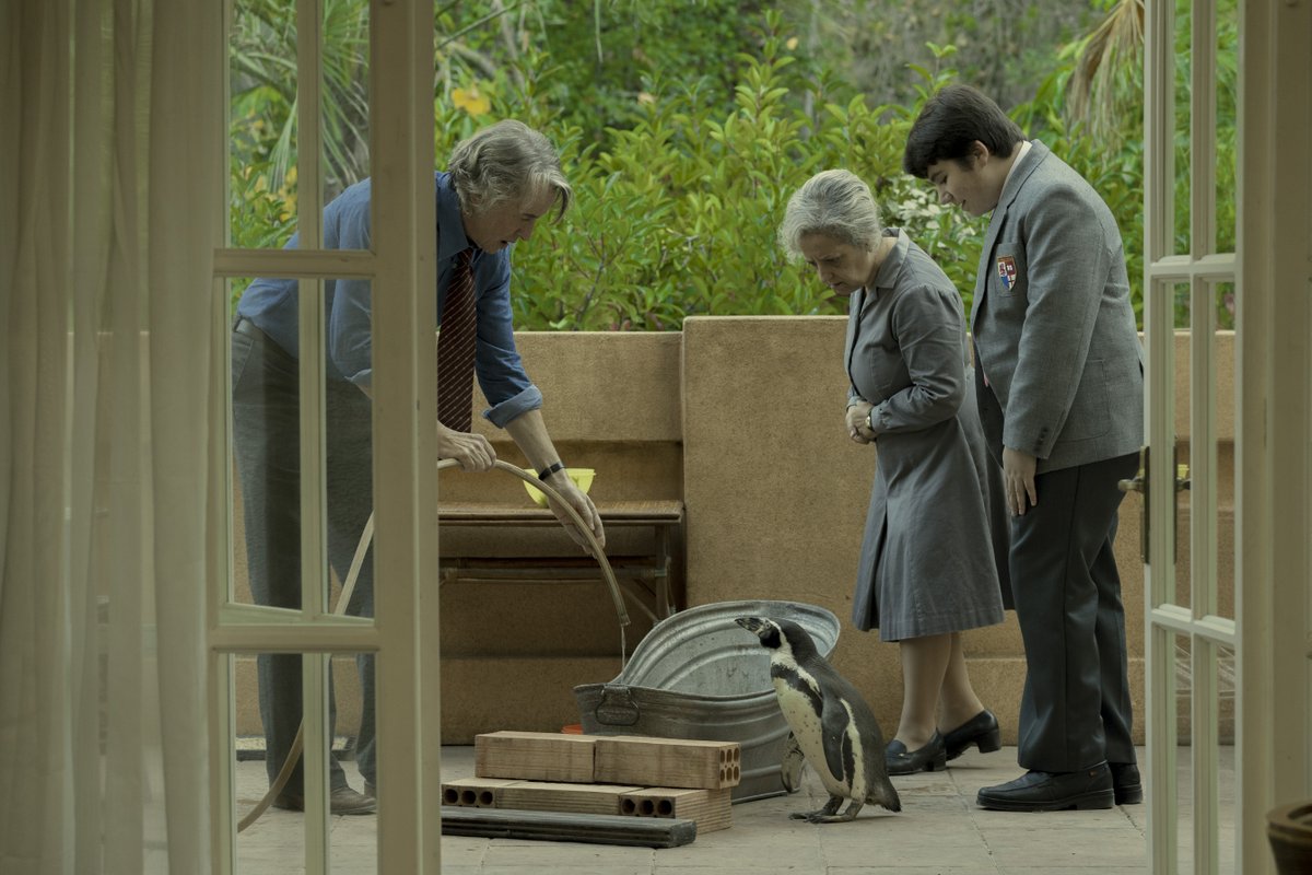 🐧✨Juan Salvador appreciation post✨🐧

Just using these absolutely adorable stills from THE PENGUIN LESSONS to remind you that we are showing it all this week alongside Alex Garlands' WARFARE, check ow.ly/oW0F50VERSf for more info!

#thepenguinlessons #warfare