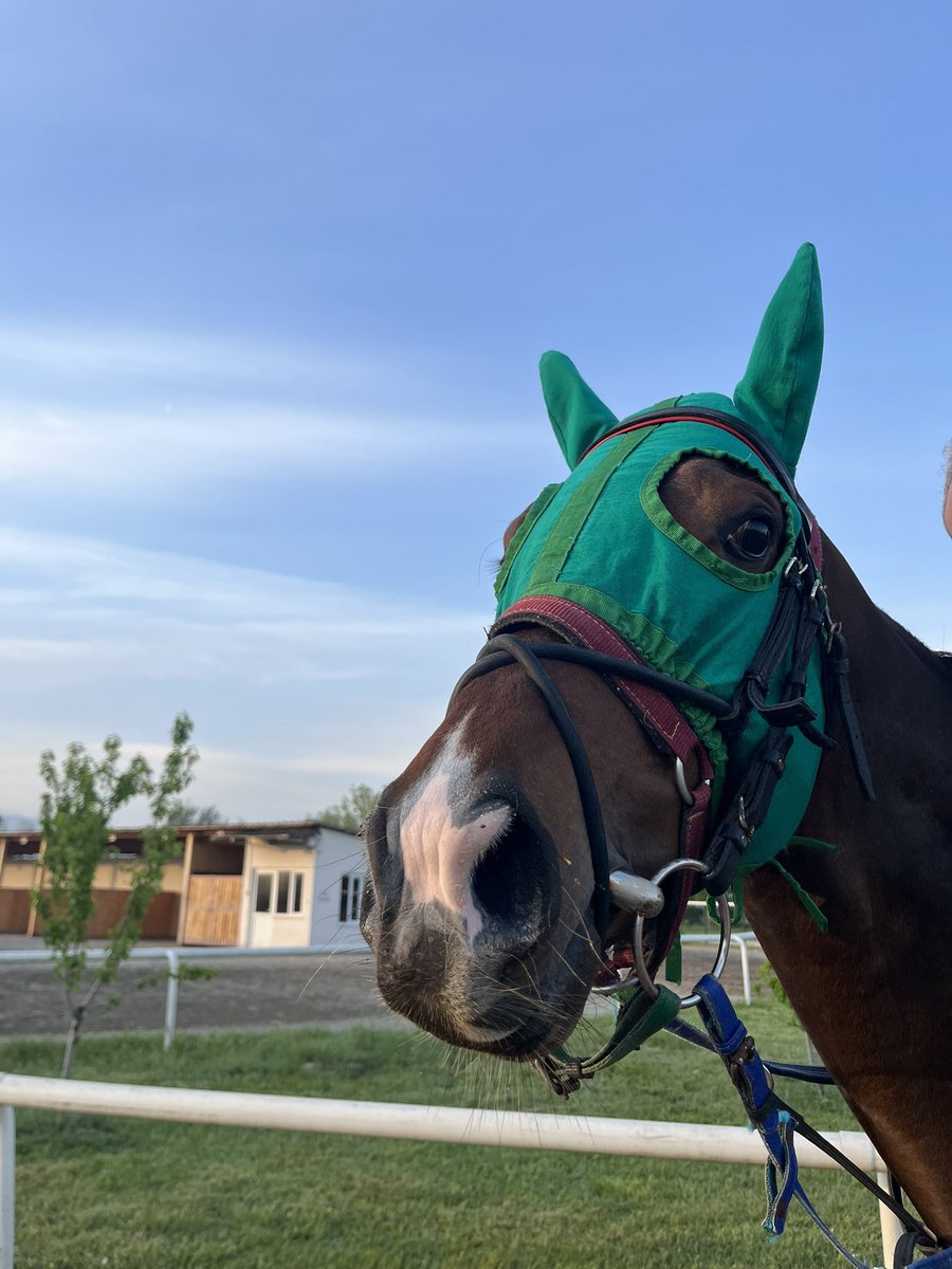 Sabah şekerim🍭
#prenslevent