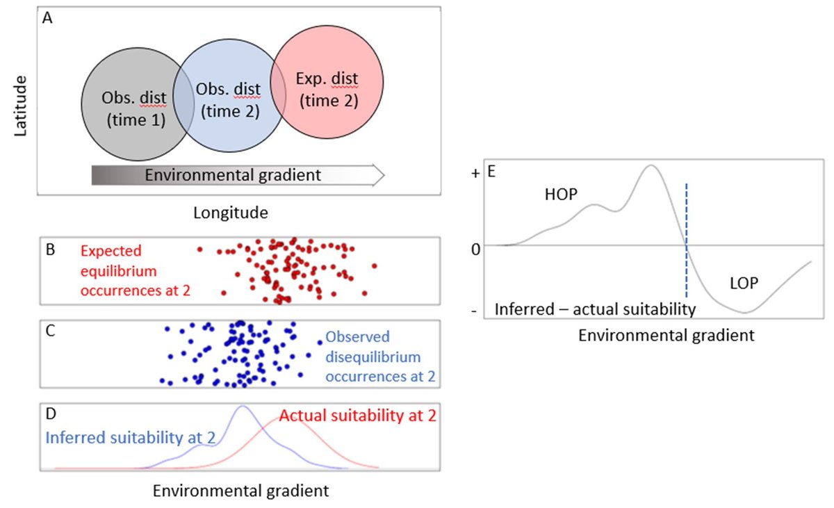 🌱Plant distributions are frequently in disequilibrium with their environment, which can bias species distribution models. This latest review looks at methods used to reduce bias👇#plantecology #speciesdistribution
buff.ly/u9WXOs7