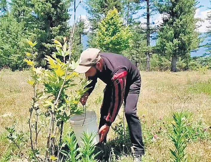 afrahshah1's tweet photo. Kudos to the govt for initiatives like #QRcode tagging of Chinar trees, helping preserve Kashmir’s natural legacy. Supporting heroes like Abdul Ahad Khan is key to building a greener, more resilient future. #PositiveGovernance https://t.co/0vx5h72Y5V