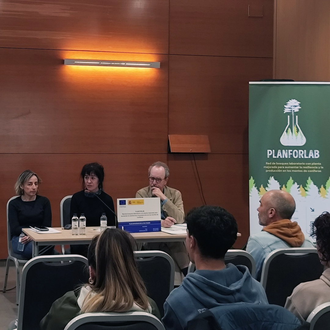 neiker_BRTA's tweet photo. #Planforlab
🔬Koniferen mendietan erresilientzia eta ekoizpena handitzeko #basoak-laborategia.
🌲#bosques-laboratorio para aumentar la resiliencia y la producción en los montes de #coniferas https://t.co/XIVXPcoS7Q