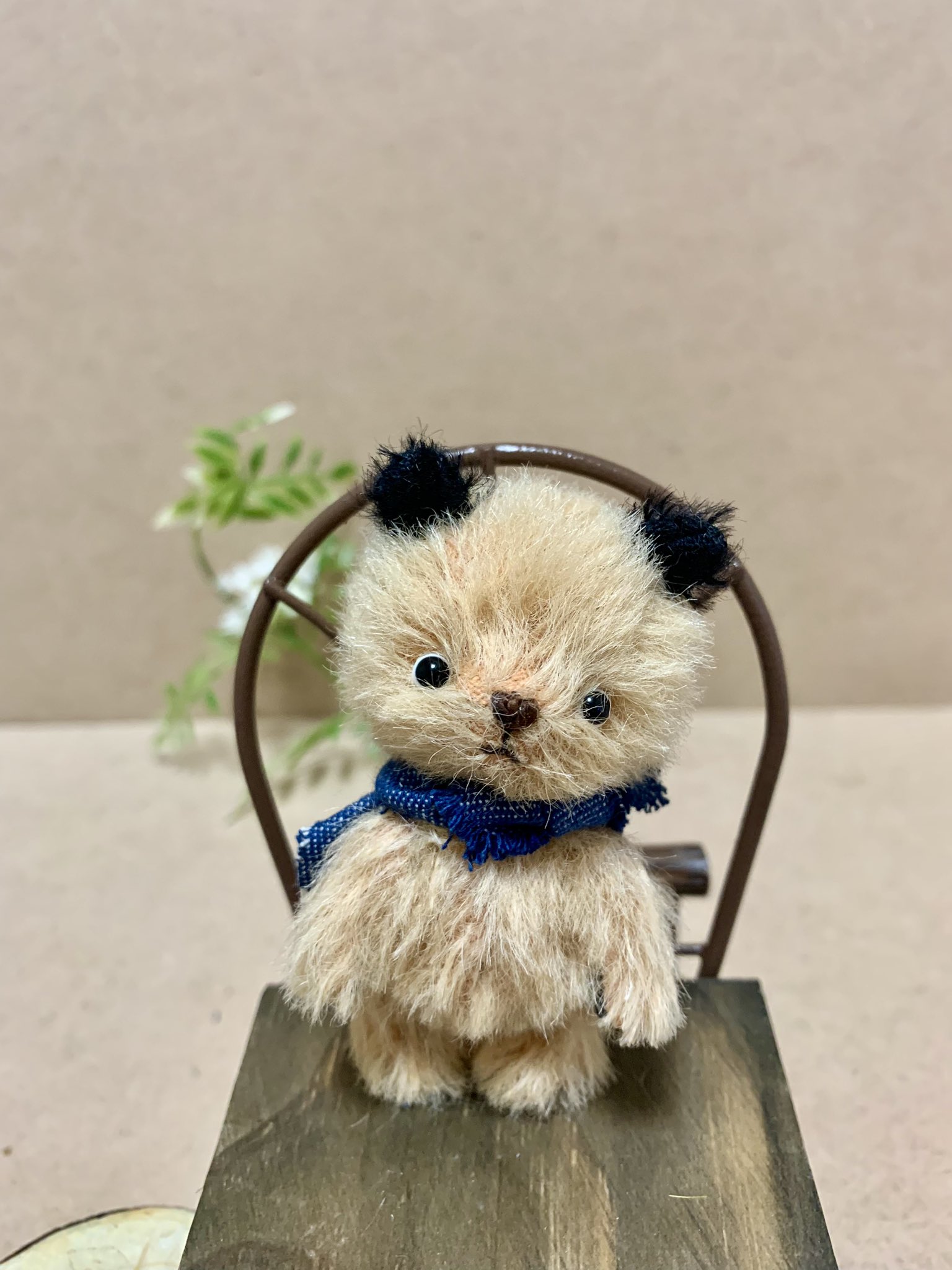 Amazon.co.jp: 幸せを呼ぶくまさんChic SS ピンク : おもちゃ