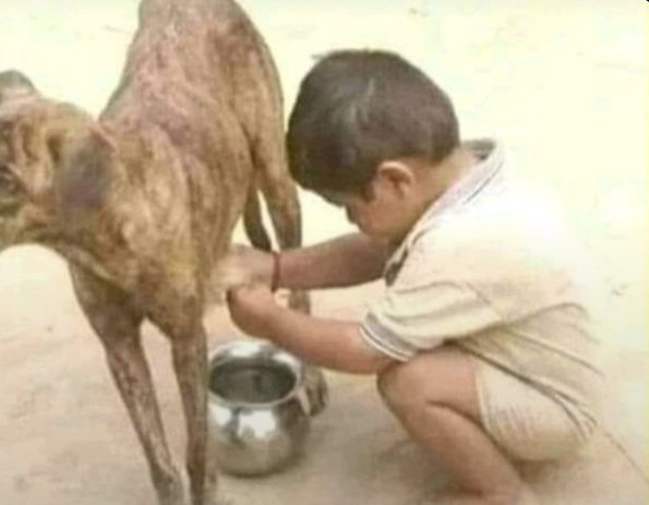 Bas 2min ruko....chai pi kar jana 😜😜😜