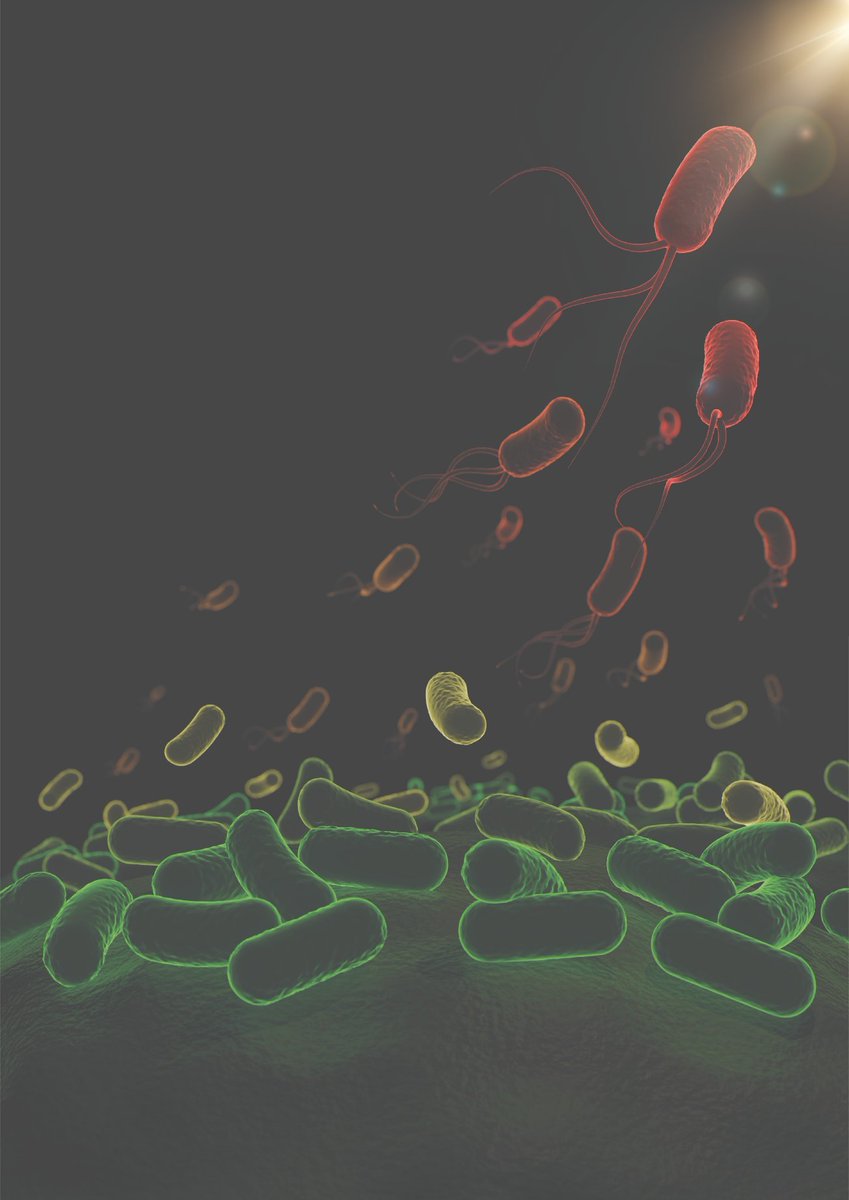 IHSM La Mayora (@ihsm_csic_uma) on Twitter photo 🦠 Disease-causing bacteria specialize and collaborate to hinder plant defenses
📋 Published in <a href="/NatureMicrobiol/">Nature Microbiology</a>
More information about this research here! ⬇️
ihsm.uma-csic.es/comunicacion/1… 🦠 Disease-causing bacteria specialize and collaborate to hinder plant defenses
📋 Published in <a href="/NatureMicrobiol/">Nature Microbiology</a>
More information about this research here! ⬇️
ihsm.uma-csic.es/comunicacion/1…