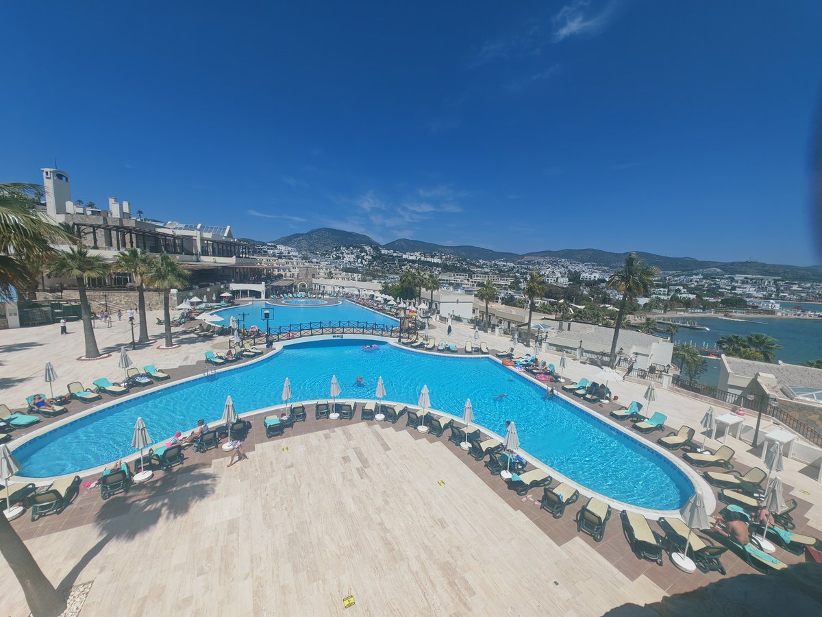 Ian Armstrong tweet media