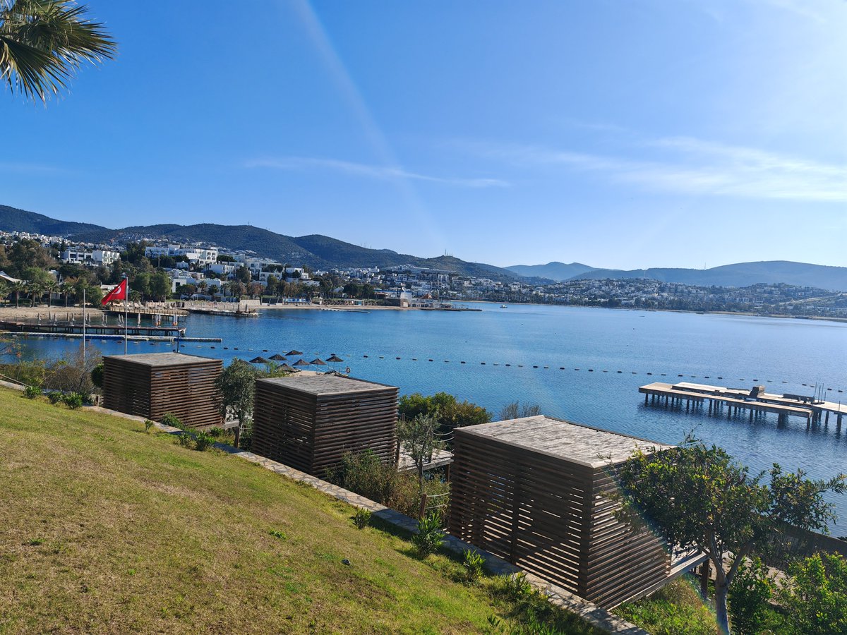 Ian Armstrong tweet media