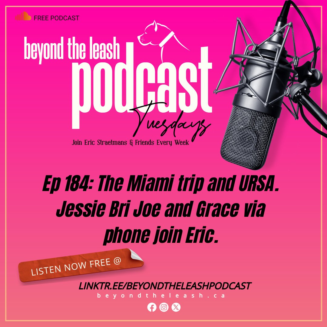 BeyondTheLeash's tweet photo. 🎧 Ep 184 The Miami trip and URSA. Jessie Bri Joe and Grace via phone join Eric
https://t.co/0GG68peViK
⭐️SPONSOR
@BigCountryRaw
#dogs 🐕 #k9training #dogtraining #dogtrainer #k9 #EricStraetmans #BeyondTheLeash #Podcast #doglife #Oakville #Mississauga @btl_training
@hoopculture13 https://t.co/e8xgXjHCwB